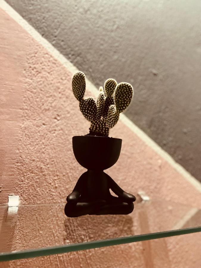 Hotel Adventure Lodge ハコ エクステリア 写真